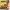 https://res.cloudinary.com/billionhands/image/upload/v1775318330/items/hopgawb3e9vyoftrc8l5.webp-3cover