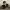 https://res.cloudinary.com/billionhands/image/upload/v1775318374/items/y0kokbrnxnp7mro8nf98.jpg-3cover
