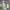 https://res.cloudinary.com/billionhands/image/upload/v1775318457/items/zylgrvbvcikb03j38qej.webp-2cover