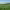 FarmVibes.AI (Microsoft) cover