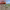 https://res.cloudinary.com/billionhands/image/upload/v1775318479/items/xhwxobe7cagnjdysnwla.jpg-3cover
