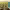 https://res.cloudinary.com/billionhands/image/upload/v1775318489/items/rdzj6peutpi9kqfswko1.jpg-2cover