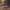 https://res.cloudinary.com/billionhands/image/upload/v1775318543/items/dspce6c70yqe8tw1d7e0.jpg-2cover