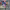 https://res.cloudinary.com/billionhands/image/upload/v1775318556/items/kdgh3mvzvdi8wiktpofr.jpg-3cover