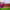 https://res.cloudinary.com/billionhands/image/upload/v1775318589/items/dbjrcp5shsvib4wdsldv.jpg-2cover