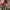 https://res.cloudinary.com/billionhands/image/upload/v1775319261/items/rliyskm21mw8qsveb94c.jpg-3cover