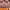 https://res.cloudinary.com/billionhands/image/upload/v1775320290/items/xxhquirm4husqda7sngu.webp-0cover