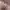 https://res.cloudinary.com/billionhands/image/upload/v1775320459/items/hjqmk7f9jaw7k2idaihc.jpg-2cover