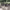 https://res.cloudinary.com/billionhands/image/upload/v1775320484/items/sqkqhjbc2uwlw4iucxtd.jpg-1cover