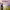 https://res.cloudinary.com/billionhands/image/upload/v1775320571/items/veb24nt599bo8ntc5x5e.jpg-1cover