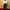 Yerin Ha (SAG Awards 2026) cover
