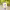 https://res.cloudinary.com/billionhands/image/upload/v1775320974/items/gtwiffghxwhsau96arcf.jpg-3cover