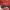 https://res.cloudinary.com/billionhands/image/upload/v1775322526/items/vpgeq4jdzntvoyzjuxet.jpg-1cover