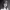 https://res.cloudinary.com/billionhands/image/upload/v1775324094/items/bwfemvoq9h2jfjivnzbq.webp-2cover