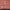 https://res.cloudinary.com/billionhands/image/upload/v1775324100/items/w7hgatozjwqc6sanysq7.jpg-1cover