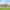 https://res.cloudinary.com/billionhands/image/upload/v1775324102/items/iqgykftq3jxydtink6lp.jpg-3cover