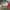 https://res.cloudinary.com/billionhands/image/upload/v1775324106/items/a5sjgeeez1r0crezzrtg.jpg-1cover