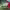 https://res.cloudinary.com/billionhands/image/upload/v1775324107/items/gbc6znwm9ypoc7bxe8vs.jpg-2cover