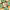 https://res.cloudinary.com/billionhands/image/upload/v1775324203/items/ntf07zyxa31gkl7clwp7.webp-0cover