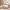 https://res.cloudinary.com/billionhands/image/upload/v1775324396/items/ypdifk75zgb91gzfwvl0.webp-3cover