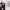 https://res.cloudinary.com/billionhands/image/upload/v1775324410/items/ceqvaakd3ocrcv1ukhwu.avif-2cover