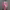 https://res.cloudinary.com/billionhands/image/upload/v1775324467/items/u61rg3ip5lcc2t3utbhd.jpg-3cover