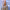 https://res.cloudinary.com/billionhands/image/upload/v1775324693/items/ytetwuzbhu0s9b20rxzr.webp-2cover