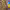 https://res.cloudinary.com/billionhands/image/upload/v1775324779/items/svpktulpv6qudrcbbvuh.png-0cover