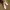 https://res.cloudinary.com/billionhands/image/upload/v1775324782/items/os92iv8j1tq62j5wnw1b.avif-0cover