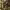 https://res.cloudinary.com/billionhands/image/upload/v1775324786/items/fclvzhbs4dhw8gdbkgfr.jpg-2cover