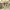 https://res.cloudinary.com/billionhands/image/upload/v1775324938/items/puvji1eyioupzfzlgxjw.png-2cover