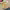 https://res.cloudinary.com/billionhands/image/upload/v1775325138/items/gcixkouozsszsl2c0ydc.webp-2cover