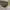 https://res.cloudinary.com/billionhands/image/upload/v1775326021/items/f2r3c2tnaqxfntfdegnl.jpg-3cover