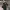 https://res.cloudinary.com/billionhands/image/upload/v1775326645/items/tvoxqzsqmagagm4ls7qe.webp-2cover