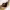 https://res.cloudinary.com/billionhands/image/upload/v1775326647/items/jbpeyh3us93xobyffuid.webp-2cover