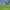 Regional Model Forest Network – Asia (RMFN-Asia) cover