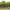 https://res.cloudinary.com/billionhands/image/upload/v1775326811/items/smd2imjbvur7lu14pone.jpg-0cover