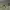 https://res.cloudinary.com/billionhands/image/upload/v1775326819/items/aoxkha8f4v3mvbeqq2gg.png-2cover