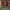 https://res.cloudinary.com/billionhands/image/upload/v1775327019/items/k1f9bvalpvx8ebepwhof.webp-2cover