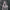 https://res.cloudinary.com/billionhands/image/upload/v1775327025/items/x24qpkfjd5fytvht8vb0.jpg-2cover