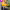 https://res.cloudinary.com/billionhands/image/upload/v1775327109/items/y3kizgj8dbwmmvrwkmtn.webp-1cover