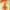https://res.cloudinary.com/billionhands/image/upload/v1775327120/items/zxgtoiamfogyrpiwpuxv.webp-1cover