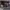 https://res.cloudinary.com/billionhands/image/upload/v1775327132/items/zfh4lami28qo3ofrvziy.jpg-2cover
