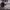 https://res.cloudinary.com/billionhands/image/upload/v1775327281/items/wygvo9fhxzi0yoqsg0ey.webp-3cover