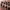 https://res.cloudinary.com/billionhands/image/upload/v1775327494/items/vwj3qczgpcojeuko4ivw.jpg-0cover