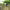https://res.cloudinary.com/billionhands/image/upload/v1775327651/items/pxhbimsrimesvfvejl6d.webp-2cover