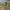 https://res.cloudinary.com/billionhands/image/upload/v1775327652/items/s9dnpnrvpizi2eanef0b.webp-3cover