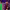https://res.cloudinary.com/billionhands/image/upload/v1775327666/items/dlmgcor5kdfo7y1rzidl.jpg-0cover
