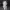 https://res.cloudinary.com/billionhands/image/upload/v1775327748/items/xq9ypycwfqkzgch8mqbl.jpg-0cover