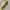 https://res.cloudinary.com/billionhands/image/upload/v1775327782/items/xzicdvdx6omt4onfulgd.jpg-1cover